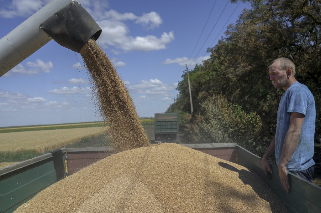 First grain shipments to leave Ukraine ‘this week’: minister First grain shipments to leave Ukraine ‘this week’: minister